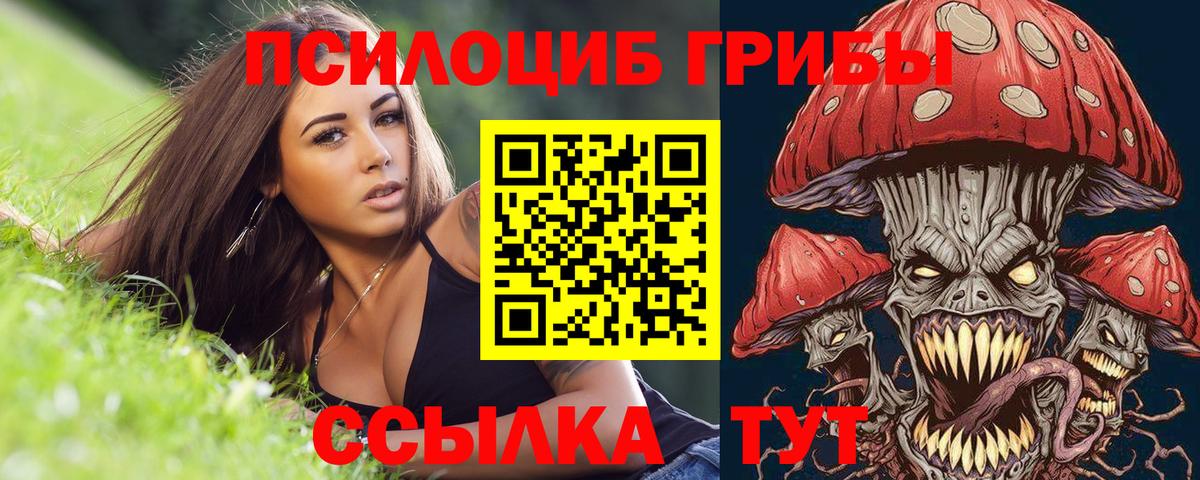Барнаул  Псилоцибиновые грибы мицелий  Вход с VPN 